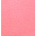 Pianka Soldarini Foam Sheet – Red