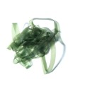 Materiał na korpus Soldarini Scud Back – Olive