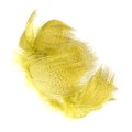 Pióra krzyżówki Soldarini Mallard Breast – Duck