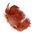 Pióra krzyżówki Soldarini Mallard Breast – Brown