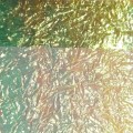Folia Soldarini Perdigon Body Foil – Light Green