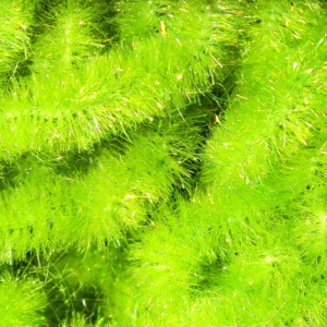 Hareline Ice Dub Chenille Light Olive