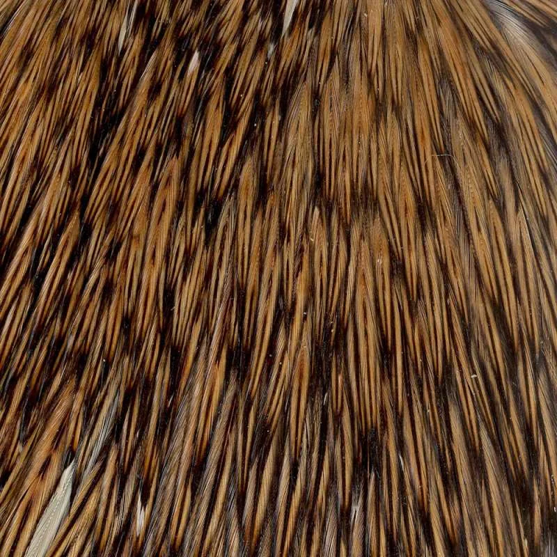 Kapka koguta Taimen India Cock Cape – AA / Golden Badger