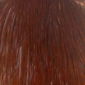 Kapka koguta Taimen India Cock Cape – A / Brown