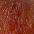 Kapka koguta Taimen India Cock Cape – A / Light Brown