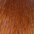 Kapka koguta Taimen India Cock Cape – AA / Ginger