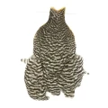 Kapka kury Whiting 4B's Hen Cape – Grizzly