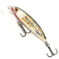 Wobler Hunter Skaut – RBR