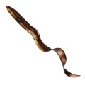Savage Gear LB Real Eel Gold Karamel 15cm-26843