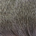 Hareline Dyed Deer Body Hair Gray #165-23672