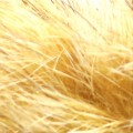 Hareline Dyed Grade#1 Hare's Mask #18 Bleached-23834