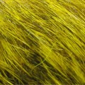 Hareline Dyed Grade#1 Hare's Mask #212 Light Olive-23835