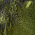 Hareline Micro Pulsator Strips #13 Olive Variant-24083