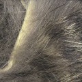Hareline Micro Pulsator Strips #8 Grizzly-24095