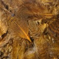 Hareline Premium Hungarian Partridge #40 Brown-24134