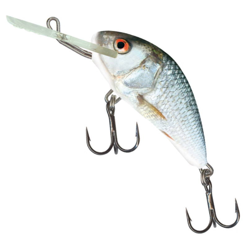 Salmo Wobler Hornet F Real Dace 6cm-21339