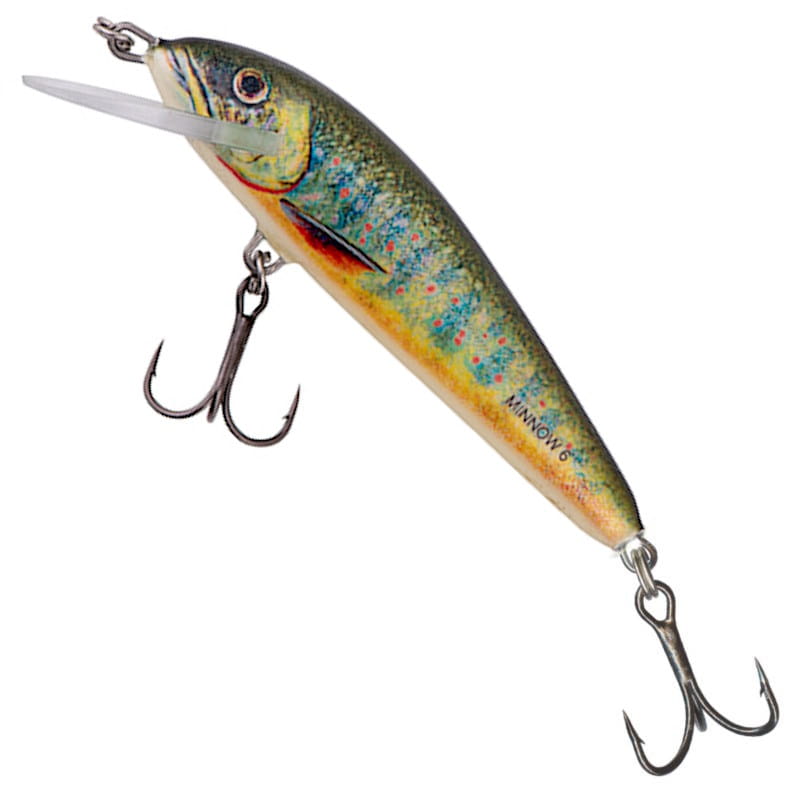 Salmo Wobler Minnow F Lake Char 5cm-57153