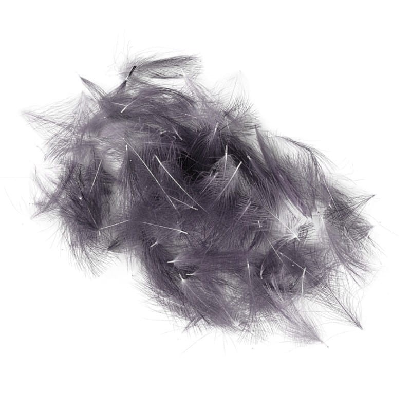 Soldarini Wild CDC 5 dun-53108