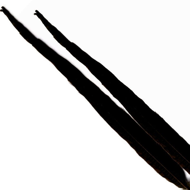 Soldarini Pióro bażanta Pheasant tail black-53145