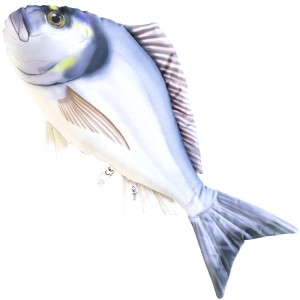 Gaby poduszka dorada królewska 60cm