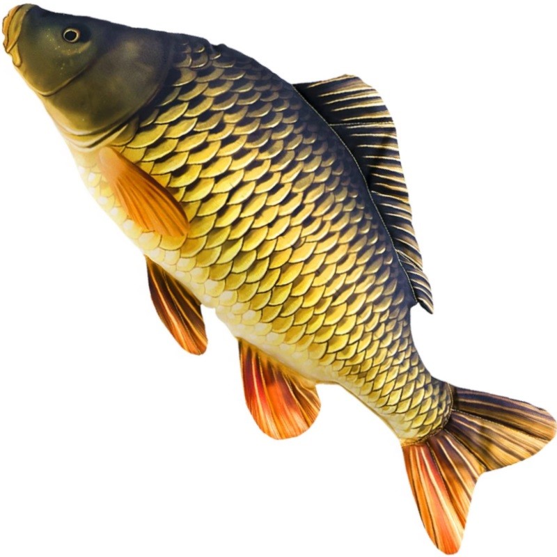 Gaby poduszka karp pełnołuski gigant 100cm-13363