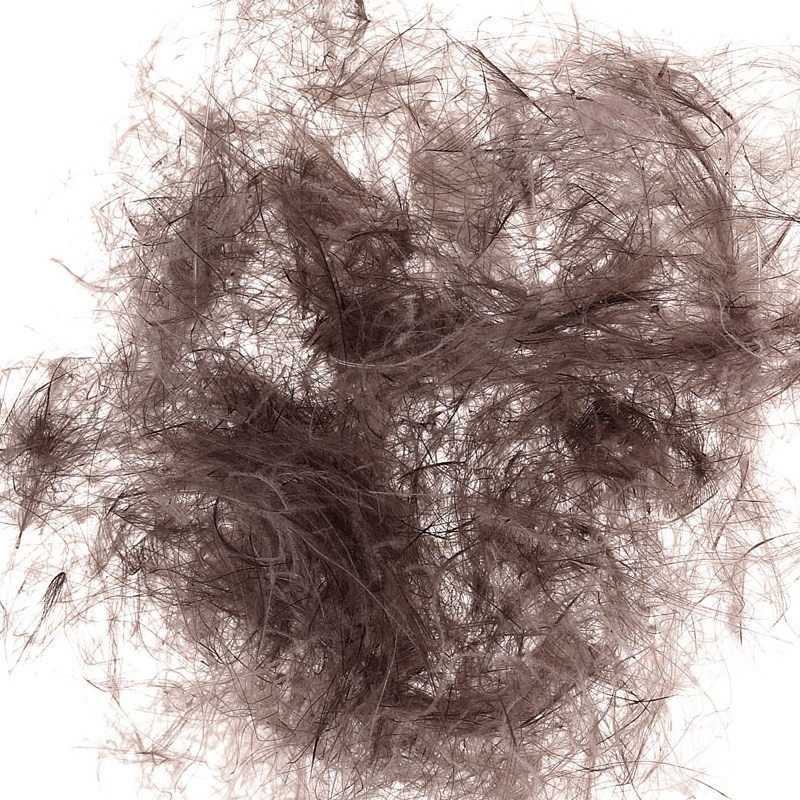 Soldarini CDC Dubbing 04 dun-52519