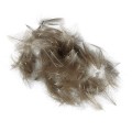 Soldarini Wild CDC 1 natural-53103