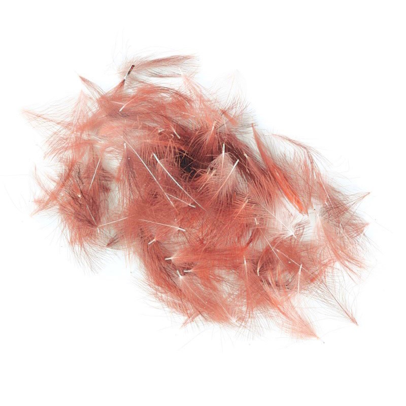 Soldarini Wild CDC 9 rusty brown-53112