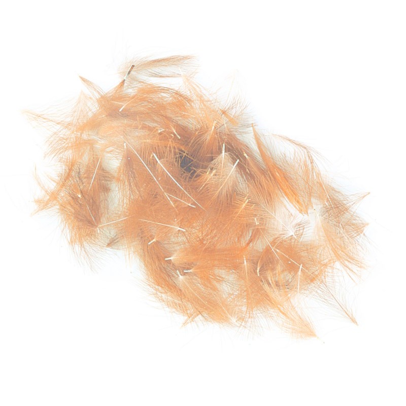 Soldarini Wild CDC 12 fluo orange-53105