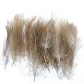 Soldarini CDC Small wings 30 szt. 1 natural-53062