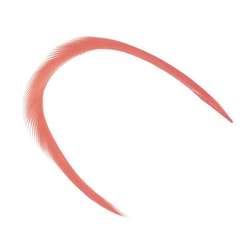 Soldarini Goose Biot 3 orange flame-53161