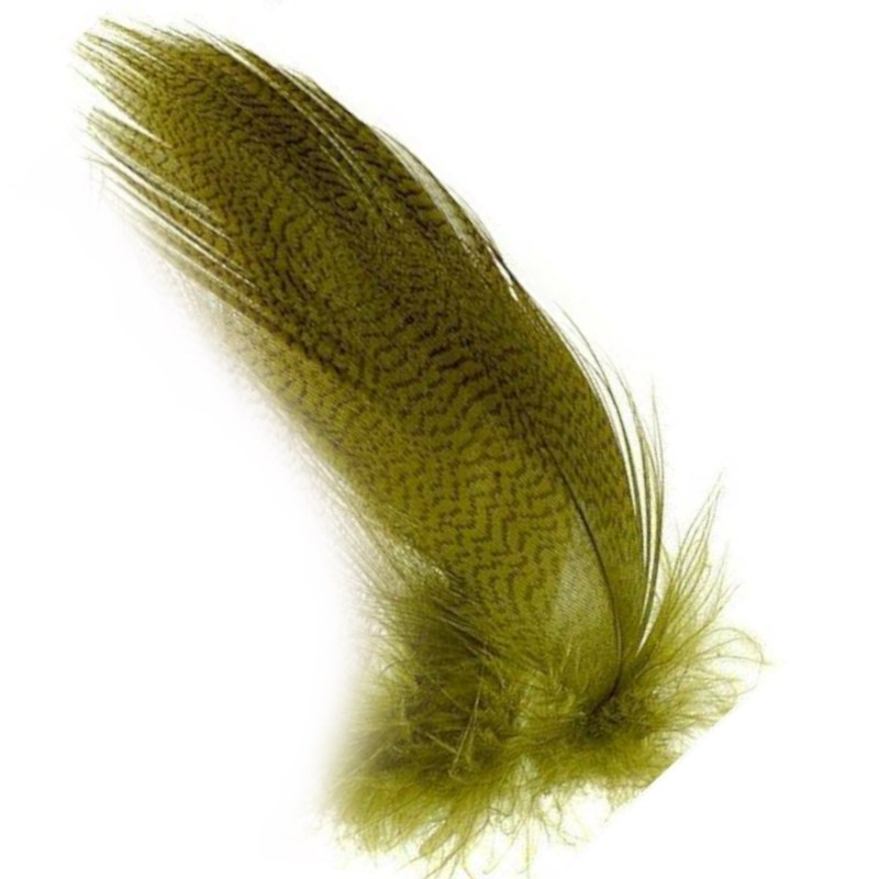 Soldarini Pióra krzyżówki Mallard Flank olive-53098