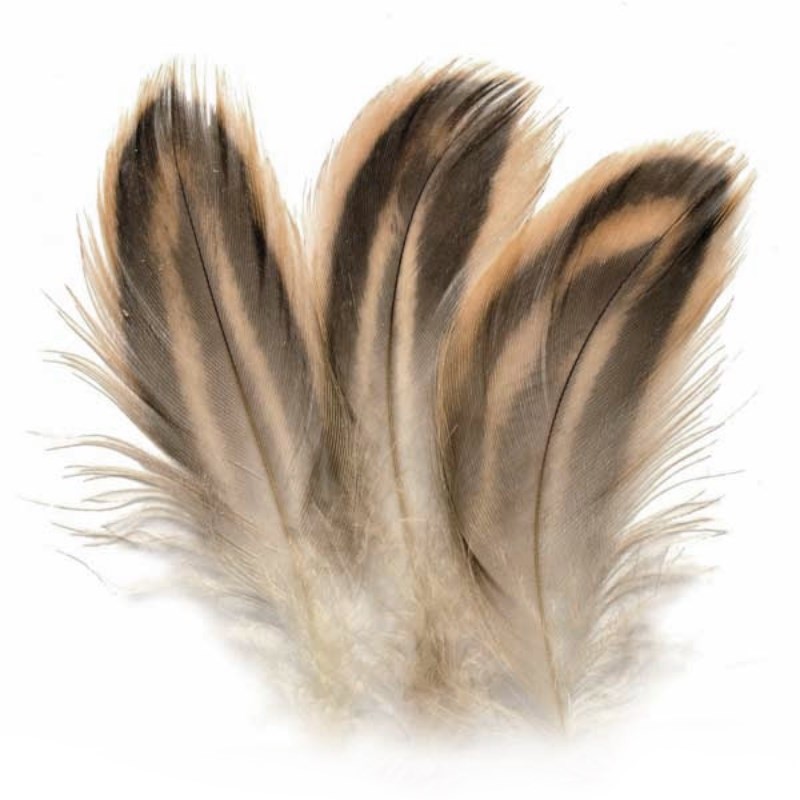 Soldarini Pióra krzyżówki Mallard Hen breast nat.-53083