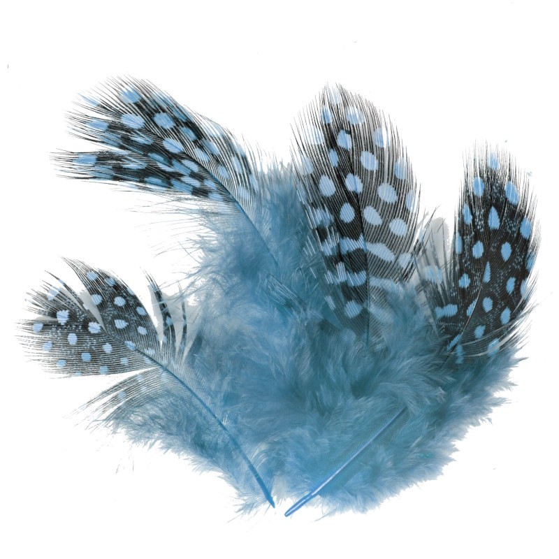 Soldarini Pióra perliczki Guinea Fowl blue-53078