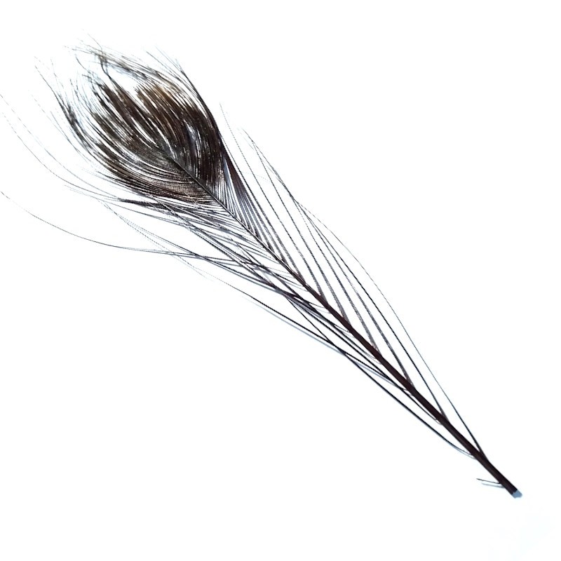 Soldarini Peacock Eyes Quill Brown-53384