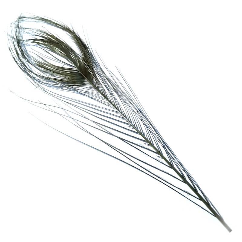 Soldarini Peacock Eyes Quill Olive-53385