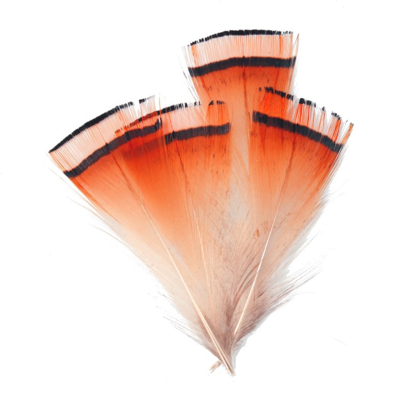 Soldarini Pióra Golden Pheasant orange fluo-53163