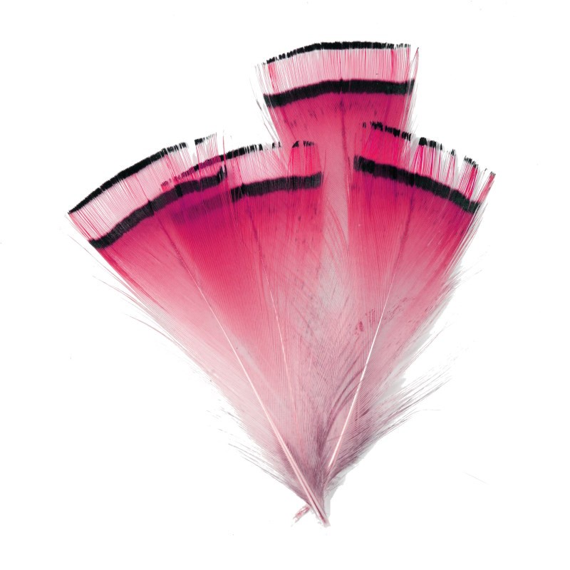 Soldarini Pióra Golden Pheasant pink fluo-53162