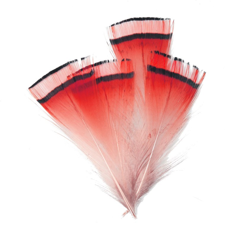 Soldarini Pióra Golden Pheasant red fluo-53164