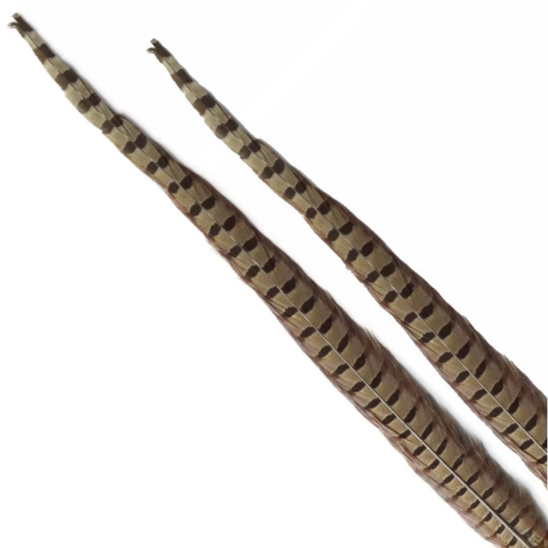 Soldarini Pióro bażanta Pheasant tail natural-53146