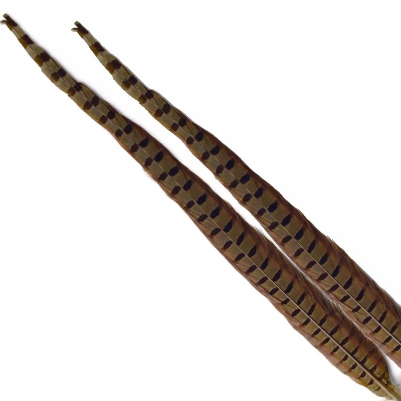 Soldarini Pióra bażanta Pheasant tail olive-53142