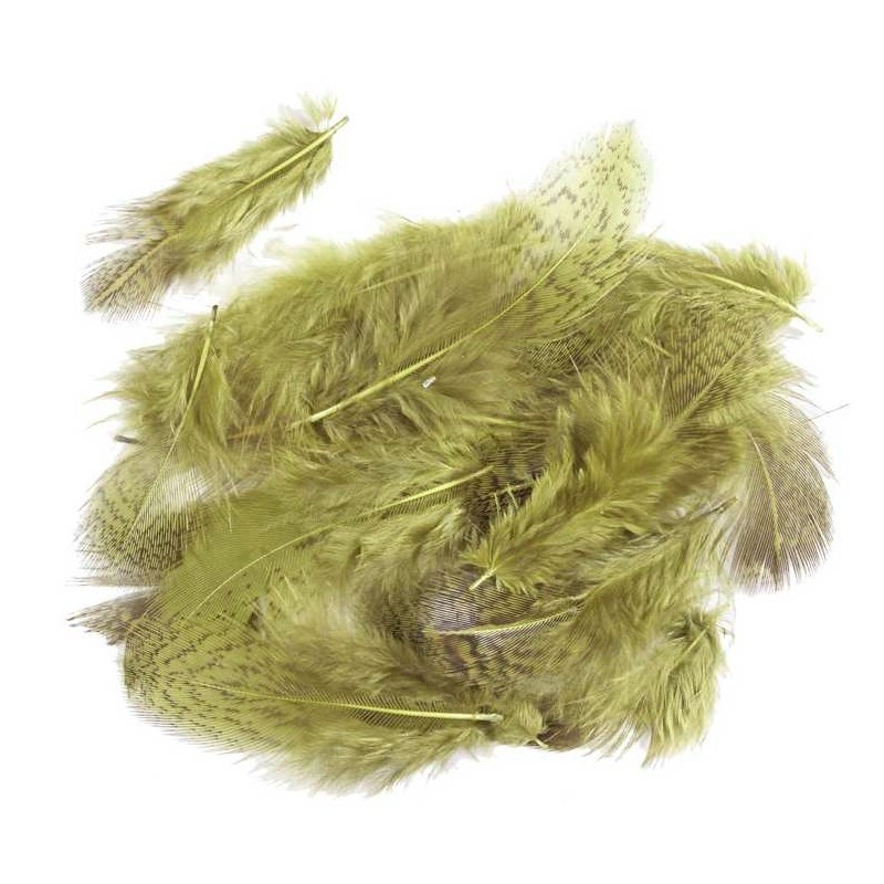 Soldarini Pióra kuropatwy English Partridge olive-53140