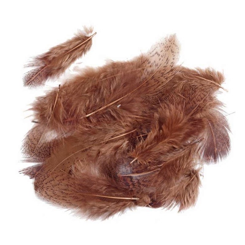 Soldarini Pióra kuropatwy English Partridge brown-53139