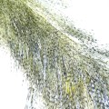 Soldarini Long Fiber Barred 2 chartreuse black-53266