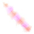 Soldarini Two Tone Pike Brush 1 orange-pink fluo-52902