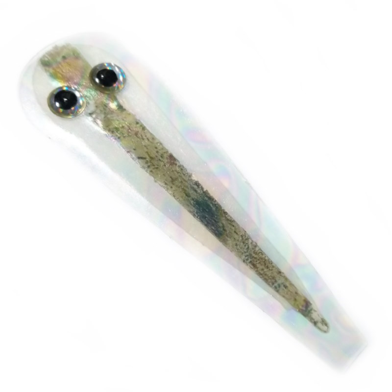 Soldarini Gummy Minnow Kit Green Back 123-58076