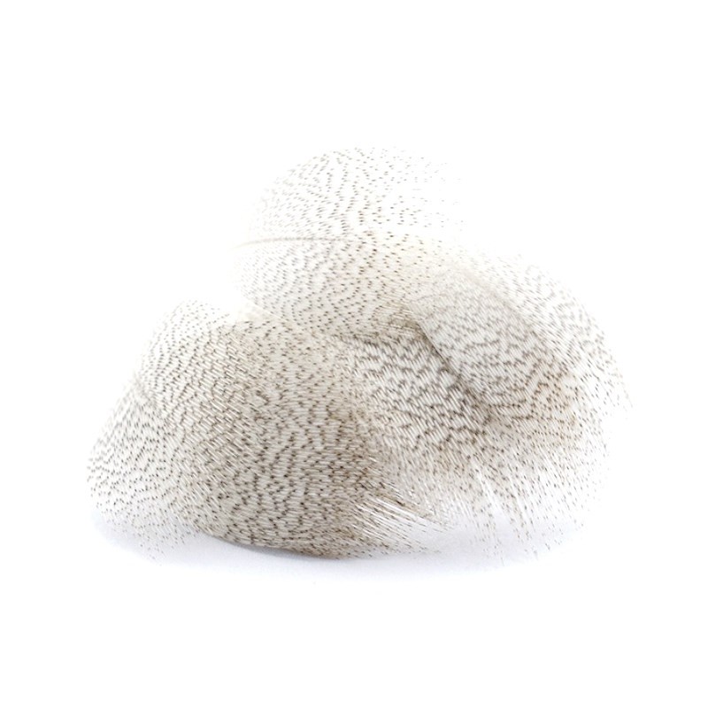 Soldarini Pióra krzyżówki Mallard breast natural-53102