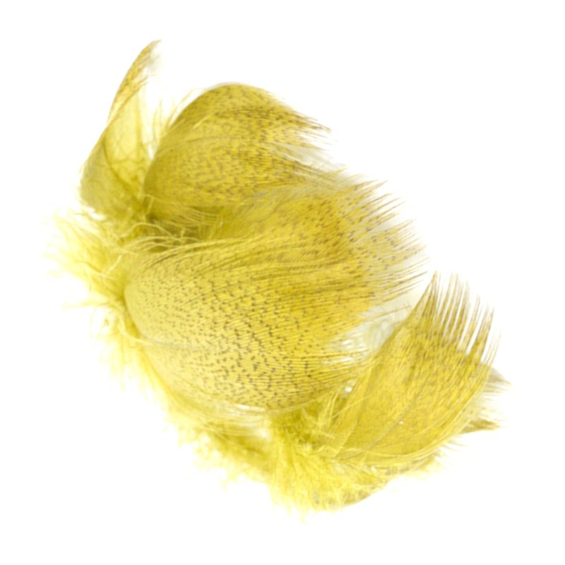 Soldarini Pióra krzyżówki Mallard breast duck-53095