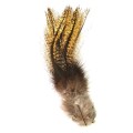 Soldarini Coq de Leon Select-66121