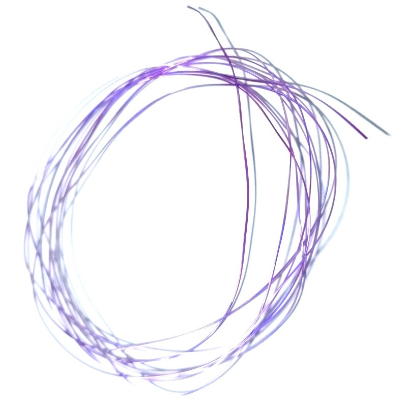 Soldarini Superb Strong Quill purple-53228